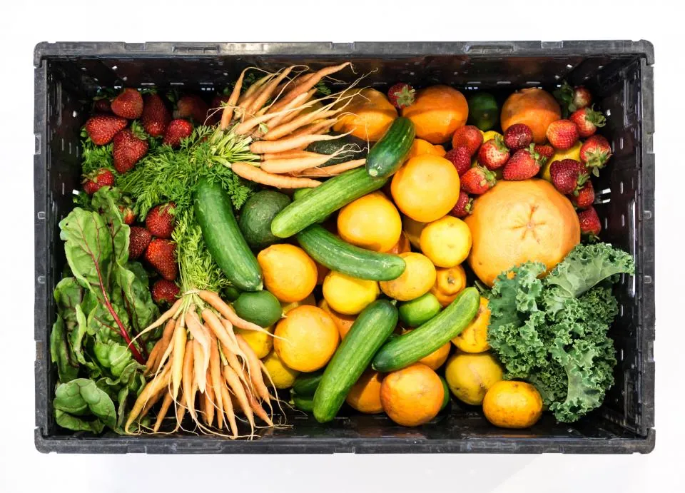 A crate of fresh produce seen from above: carrots, oranges, cucumbers, strawberries and kale